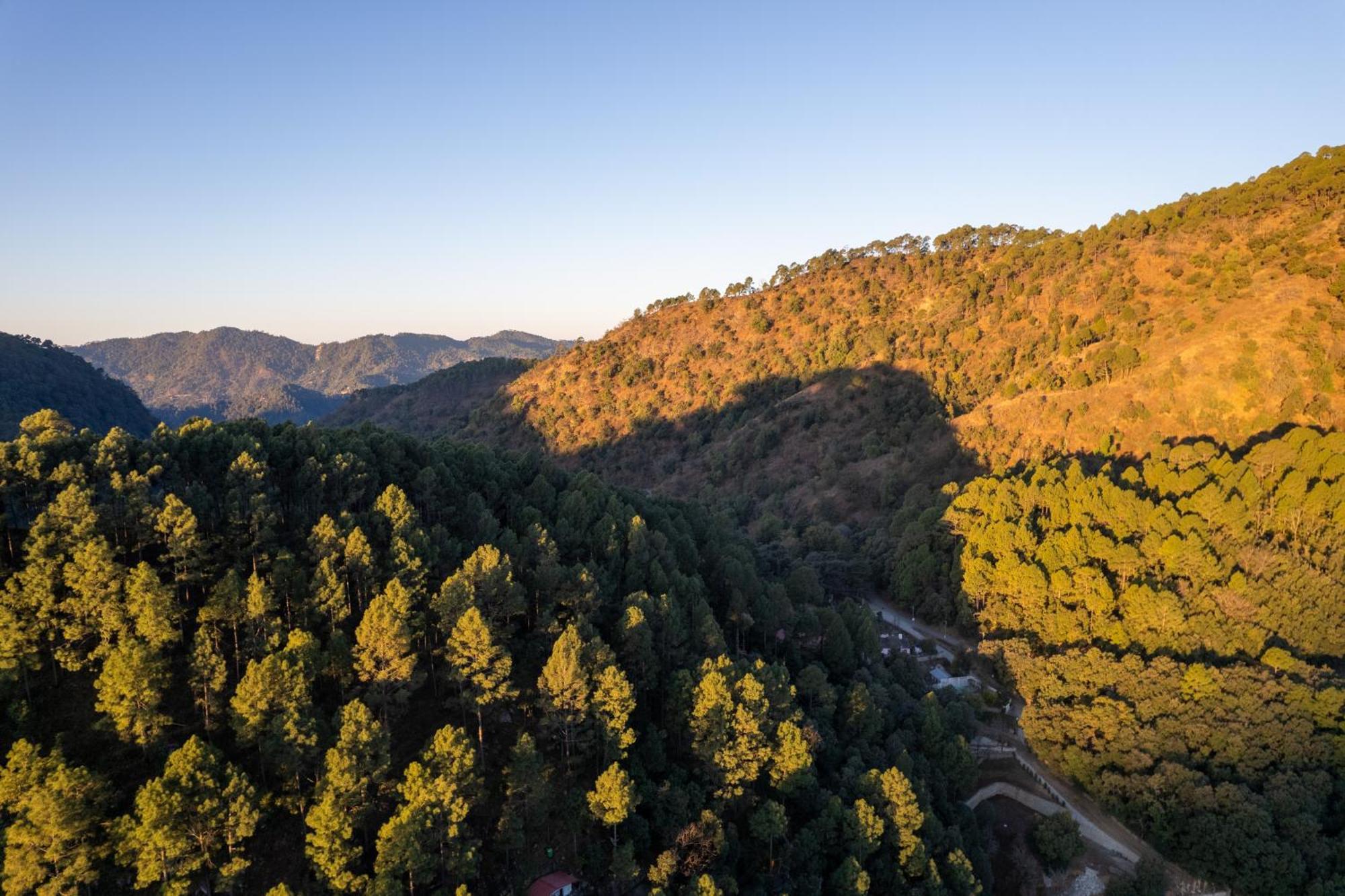 The Canadian Woods Resort 奈尼塔尔 外观 照片